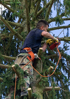 low-angle-view-man-holding-rope-against-trees.jpg