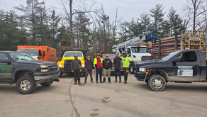 Responding to the Lewiston Ice Storm: Fast, Professional Tree Removal When It Matters Most