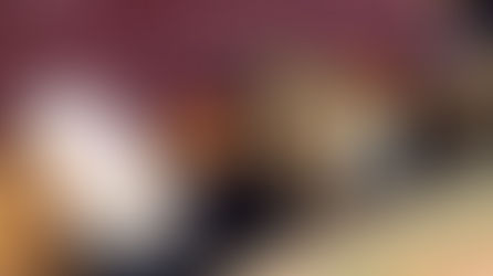 FANCY UMEBOSHI by OUSU NO SATO〈おうすの里の高級梅干し〉