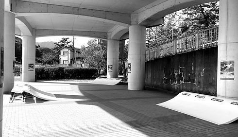 IMG_2284_edited.jpg