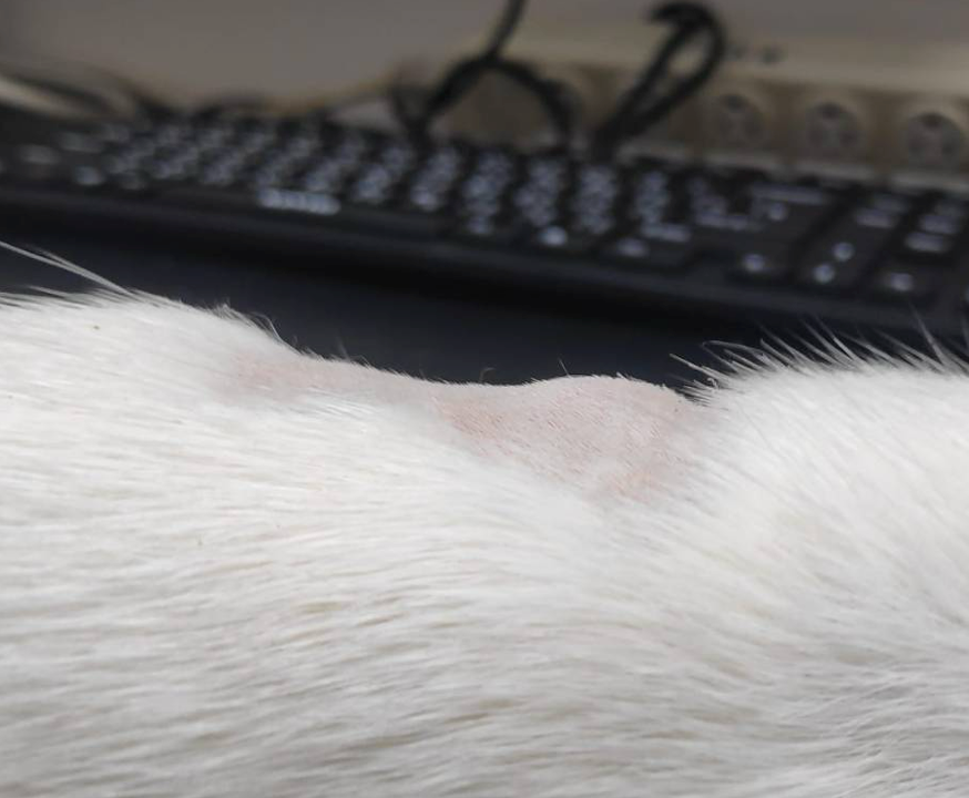 截圖 2025-09-21 晚上10.44.51.png