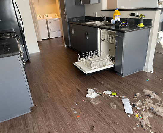 Deep Cleaning Eugene OR PPM Clean