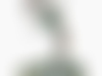 | DECRESCITA FELICE |