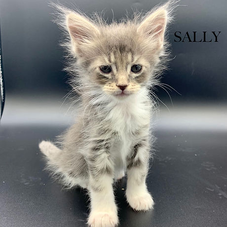 SALLY.jpeg