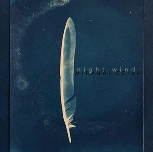 Night Wind