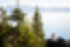 Mella-Yossie_03312021_varela-16-2_edited.jpg