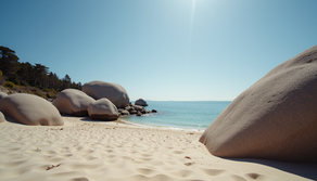 Top Locations for Outdoor Family Photos in Lake Tahoe: Your Guide to Lake Tahoe Family Photo Spots