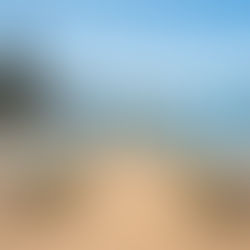 ATTAINABLE TAHOE GOLD; Choosing Your Wedding Venue - Venue Spotlight - Round Hill Pines | Reno/Lake Tahoe, NV