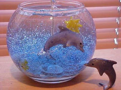 pamebaydolphin
