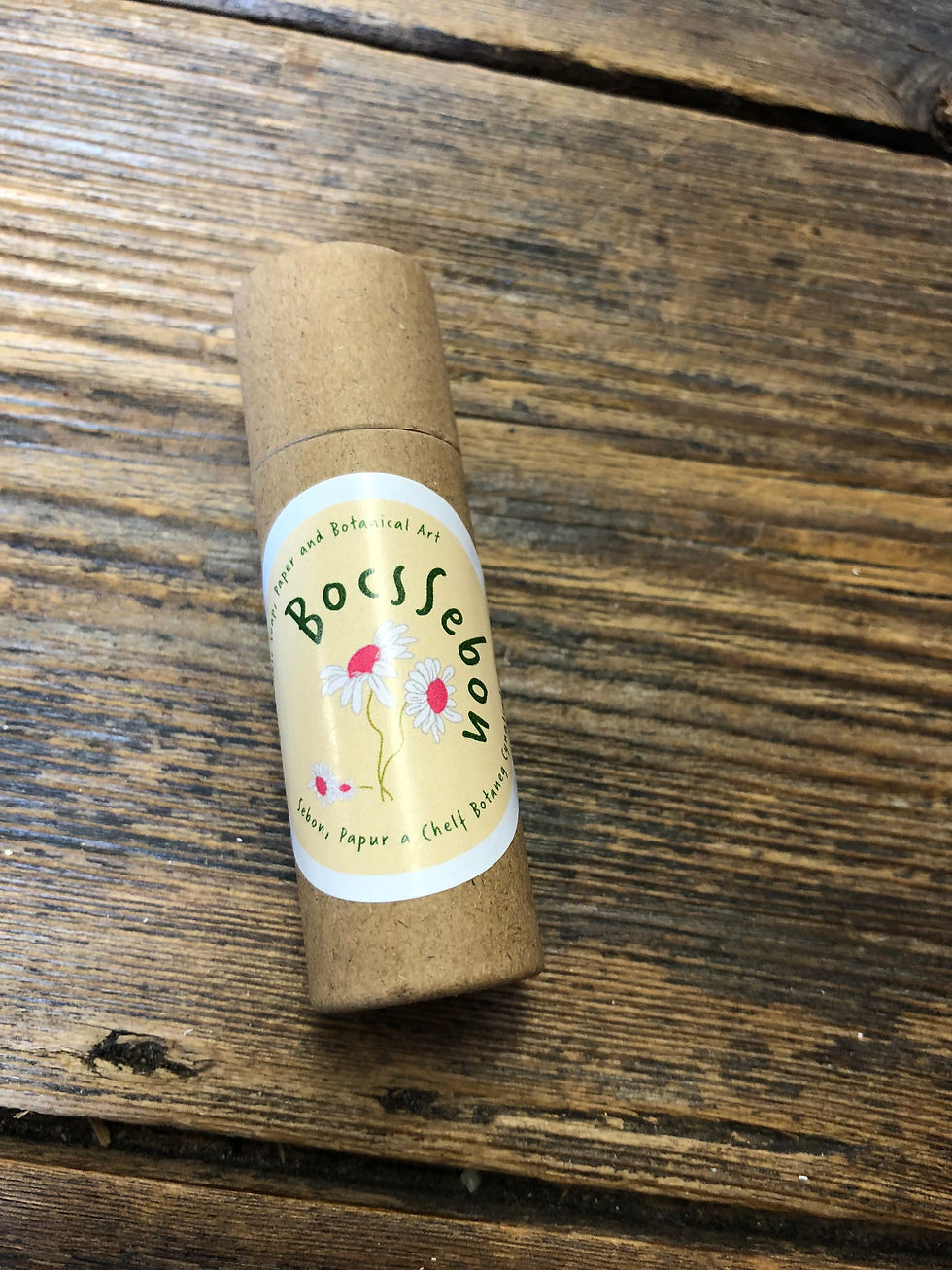 cardboard tube of lip balm with logo on wooden surface.
