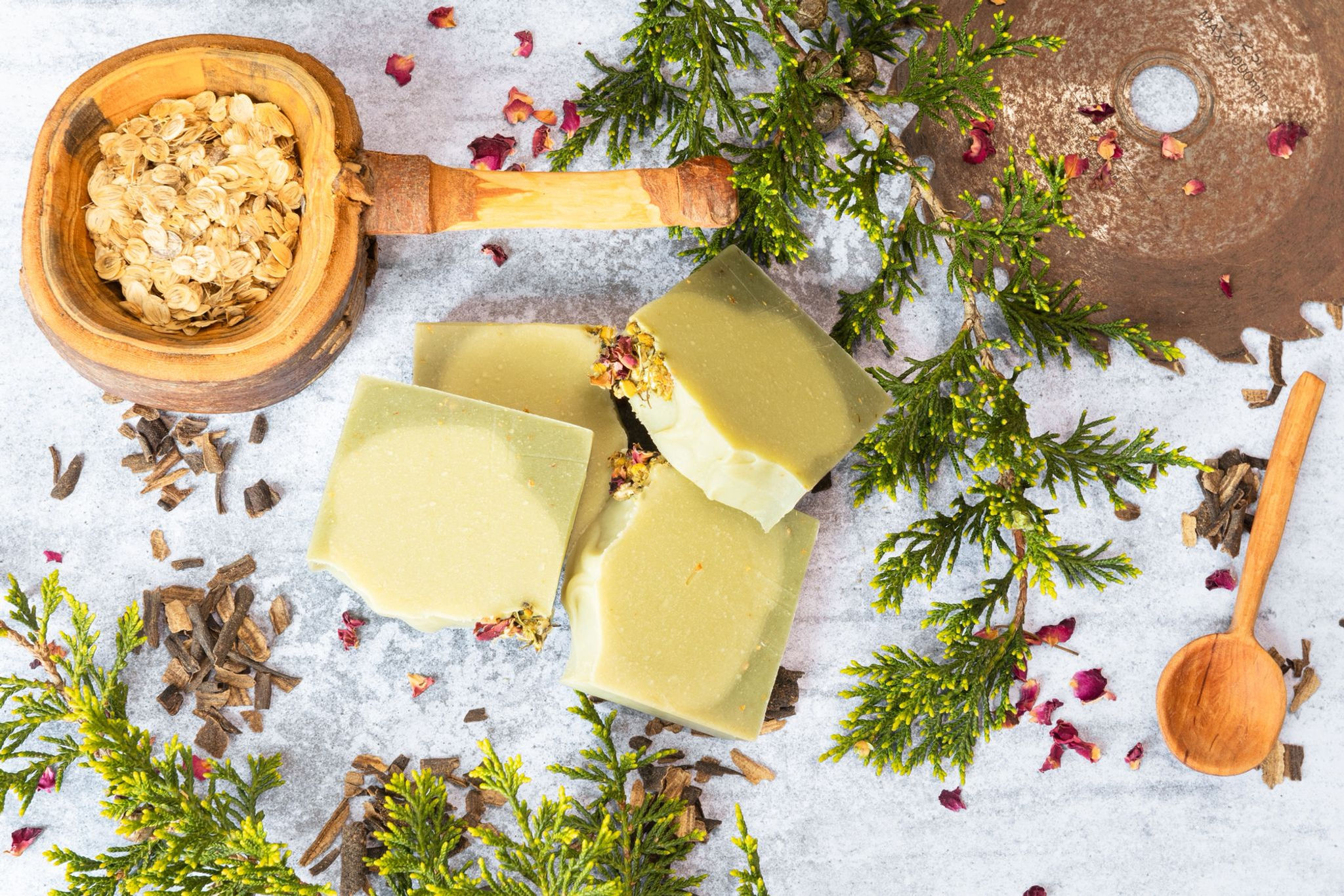 Sebon Mwng Llewod Bergamot a Basil