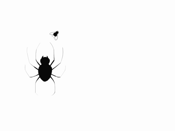 Loading 2.gif