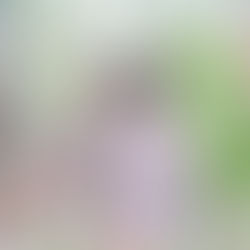 私