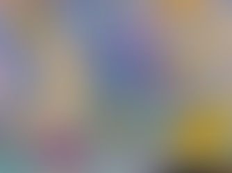 Cem dias entre céu, lixo e mar