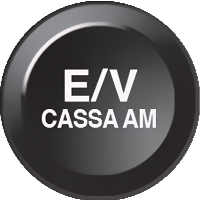 F076 - E/vcassaam