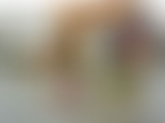 Us zebras with a NEW getaway plan