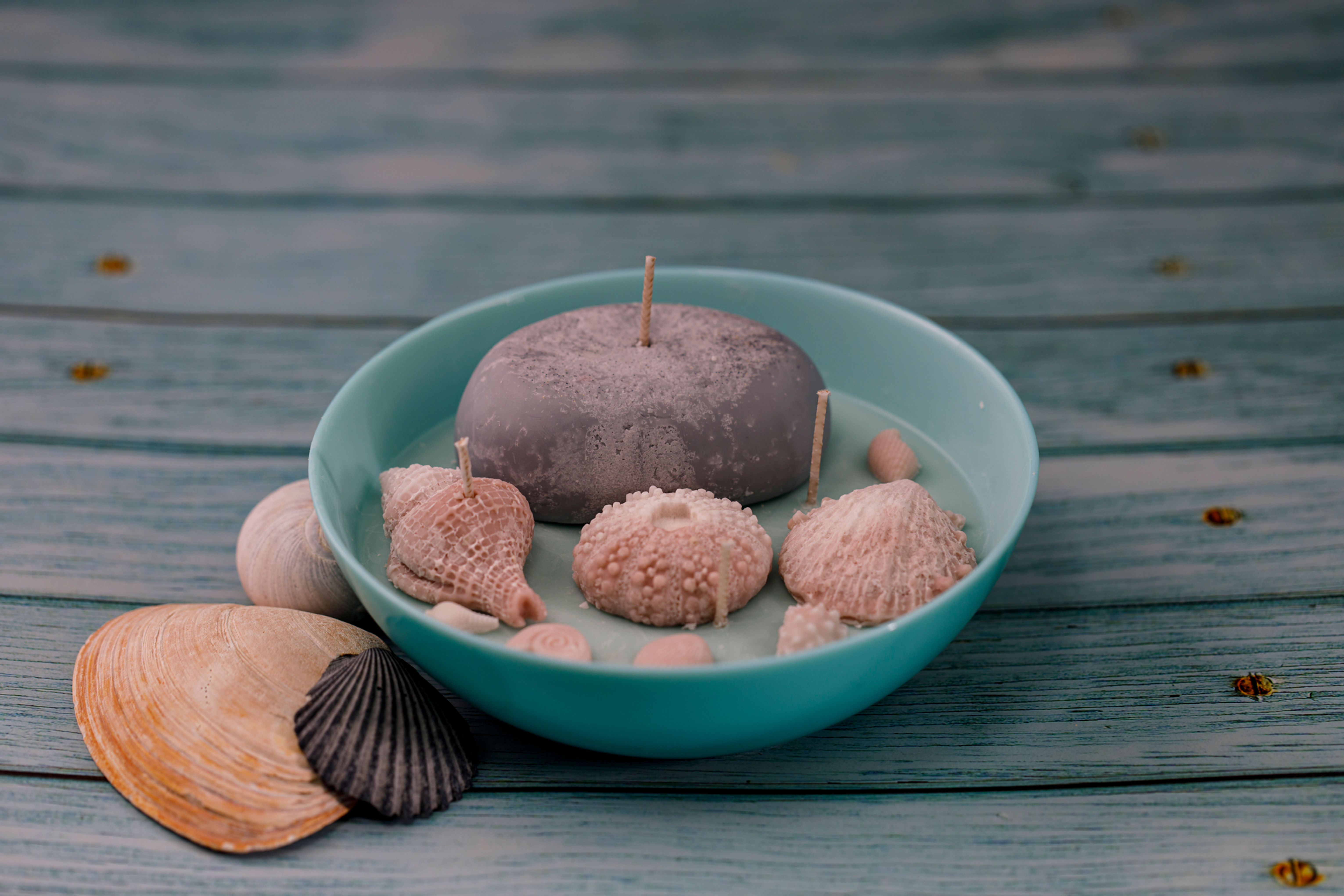 Stone and Shells at the Beach