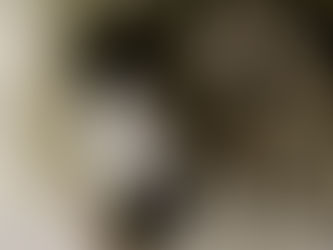 I am just as excited about this company as I was a year ago.