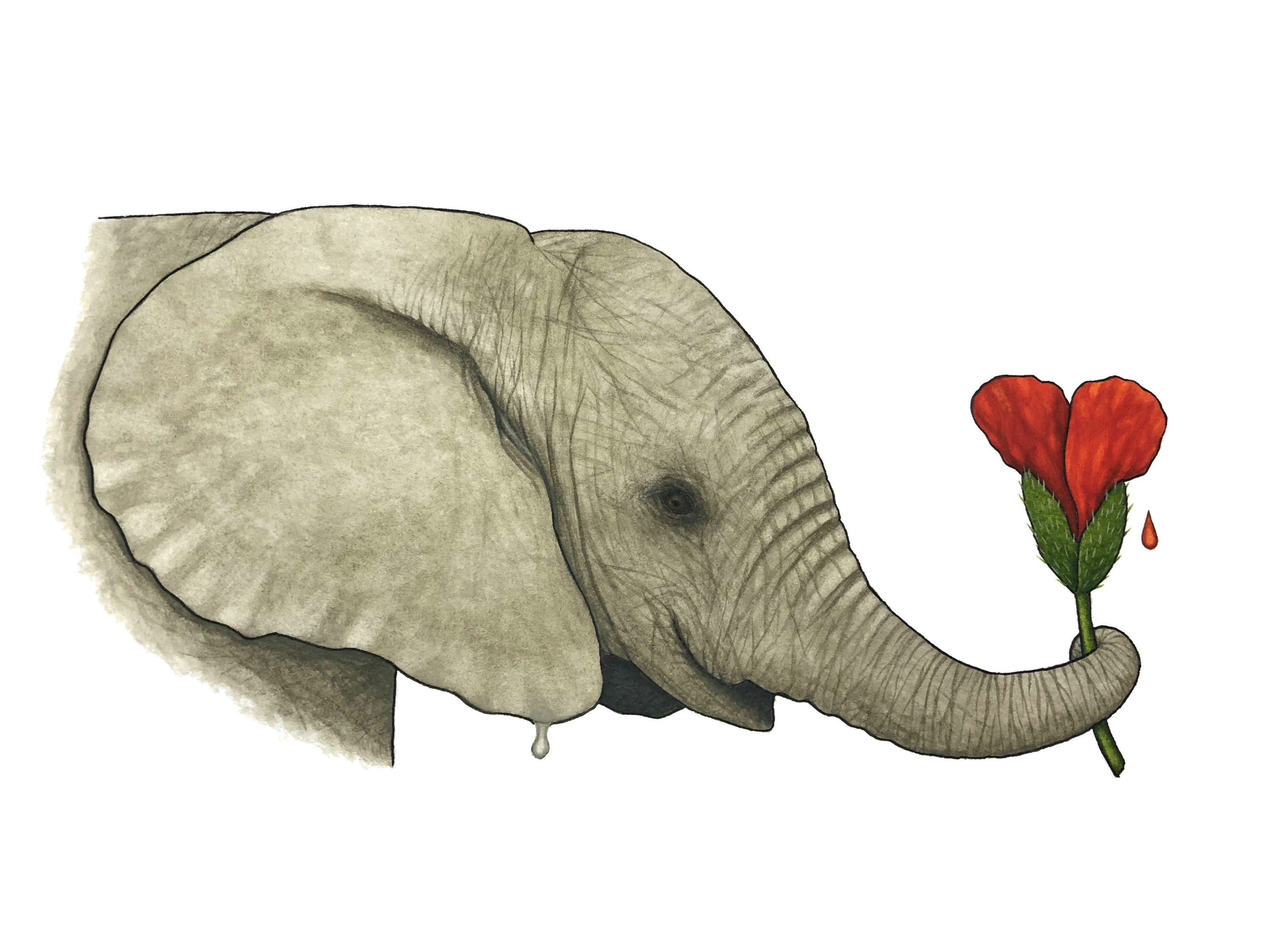 "Love Is Grown" Greeting Card