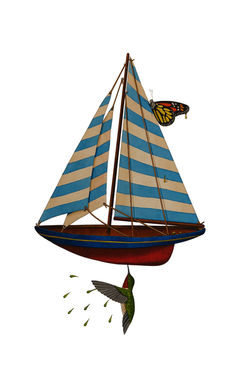 The Wind in my Sails