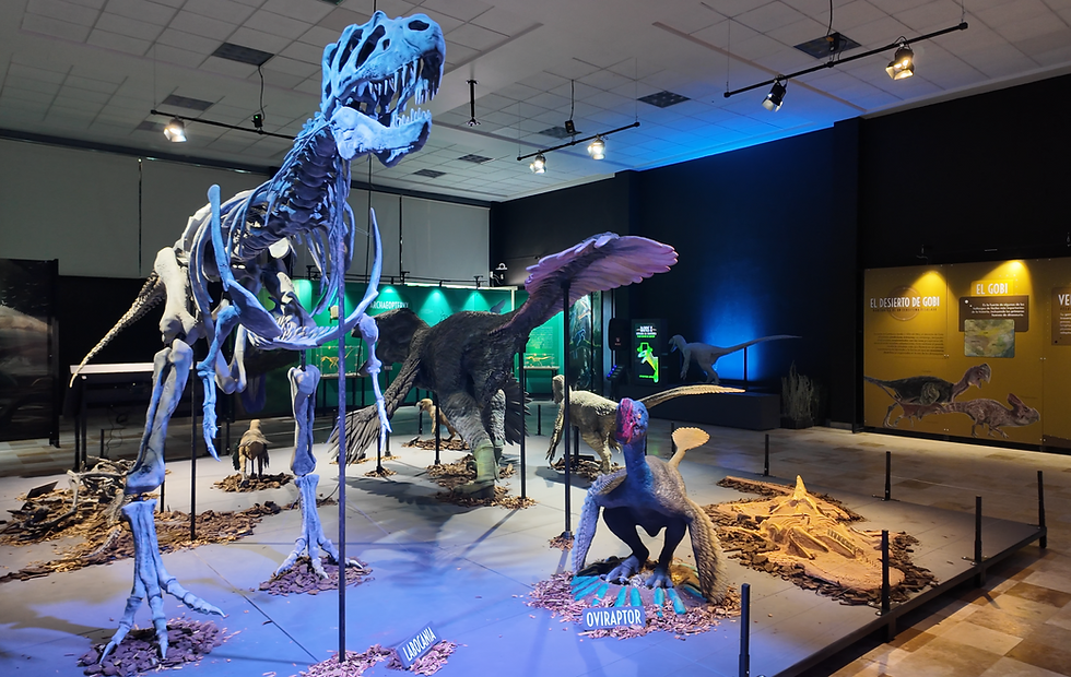 Isla de los raptores en la imagen: Labocania, Oviraptor, Utahraptor, Deinonychus y Velociraptor. Foto: Omar Dávila