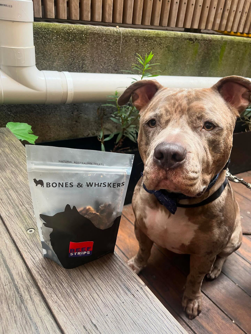 Thumbnail: Beef Jerky Dog Treats