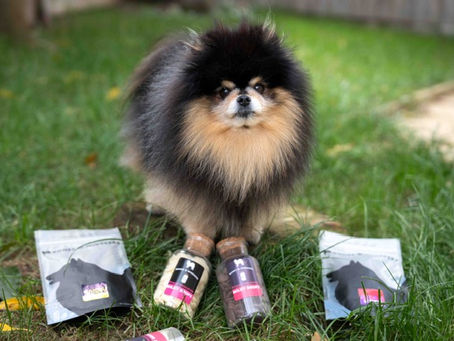 Mocha Pom’s Favourite Natural Dog Treats Bones & Whiskers
