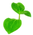 green-2021-08-30-04-47-56-utc 1.png
