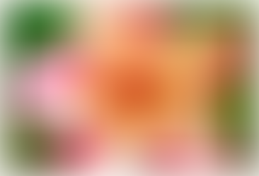 The Nature of Thinking