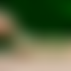 The Best ESG Certifications for Professionals in 2024