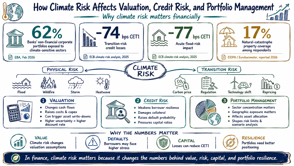 How Climate Risk Affects Valuation, Credit Risk, and Portfolio Management