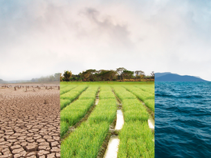 FRM + GARP SCR: Should Risk Pros Add Climate Credentials?
