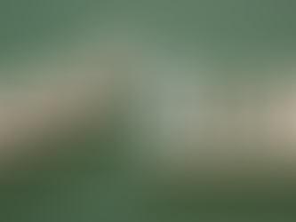 CAIA Level 2 March 2026 Exam Results: What Candidates Need to Know