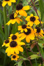 Time to shake off winter. . .