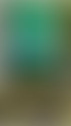 Book Review: The Return by Nicholas Sparks