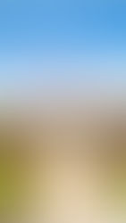 Jen's Jewels Interview: The Wedding Veil by Kristy Woodson Harvey