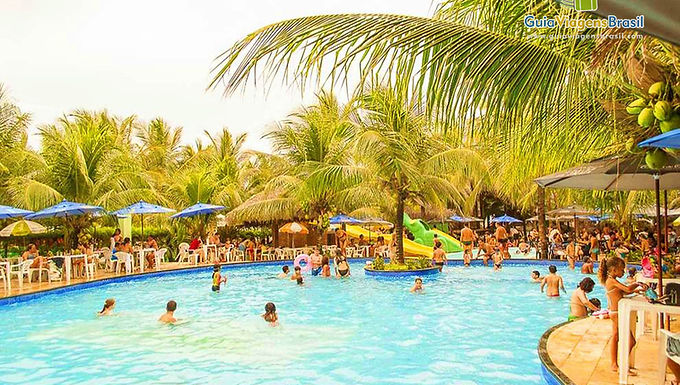 Você não está sozinho na piscina: conheça os microrganismos que podem te adoecer!