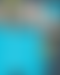 Summer Camps Now Open For Booking