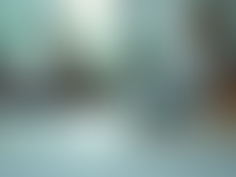 Visually Impaired Students and Science: A New Approach