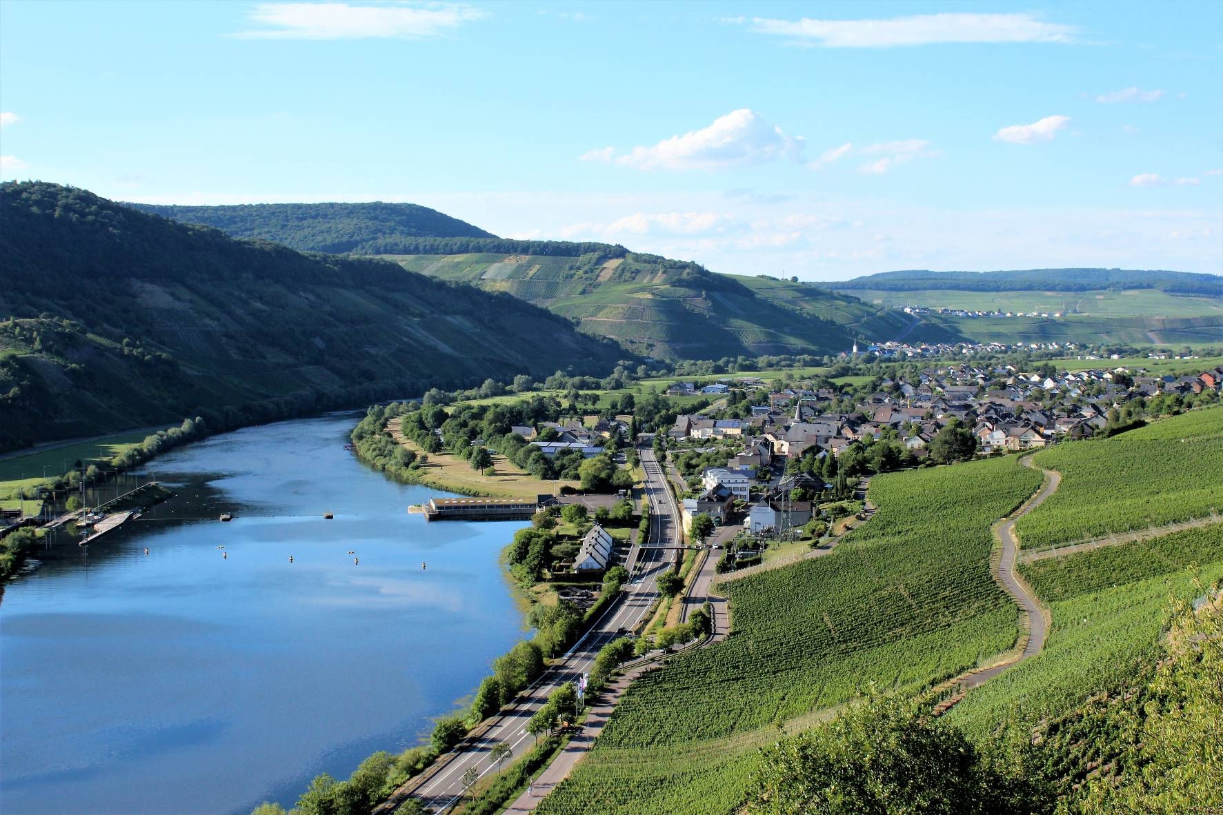 Panoramaaufnahme von Wintrich an der Mosel mit Wäldern und Weinbergen