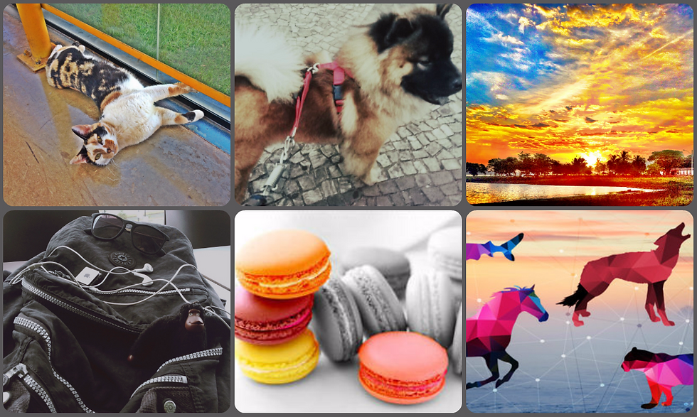 collage_edited.jpg