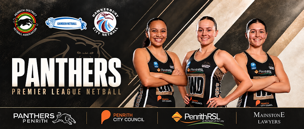 Panthers banner with refreshed sponsor row.png