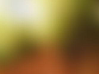 「モチーフ」を知る