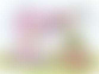 なんでだろう…と日々、アンテナをはろう!