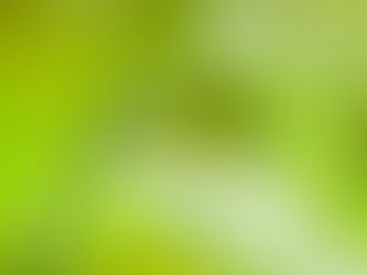 ヤングケアラーとは…