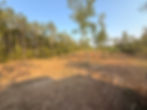 Creating a Pasture