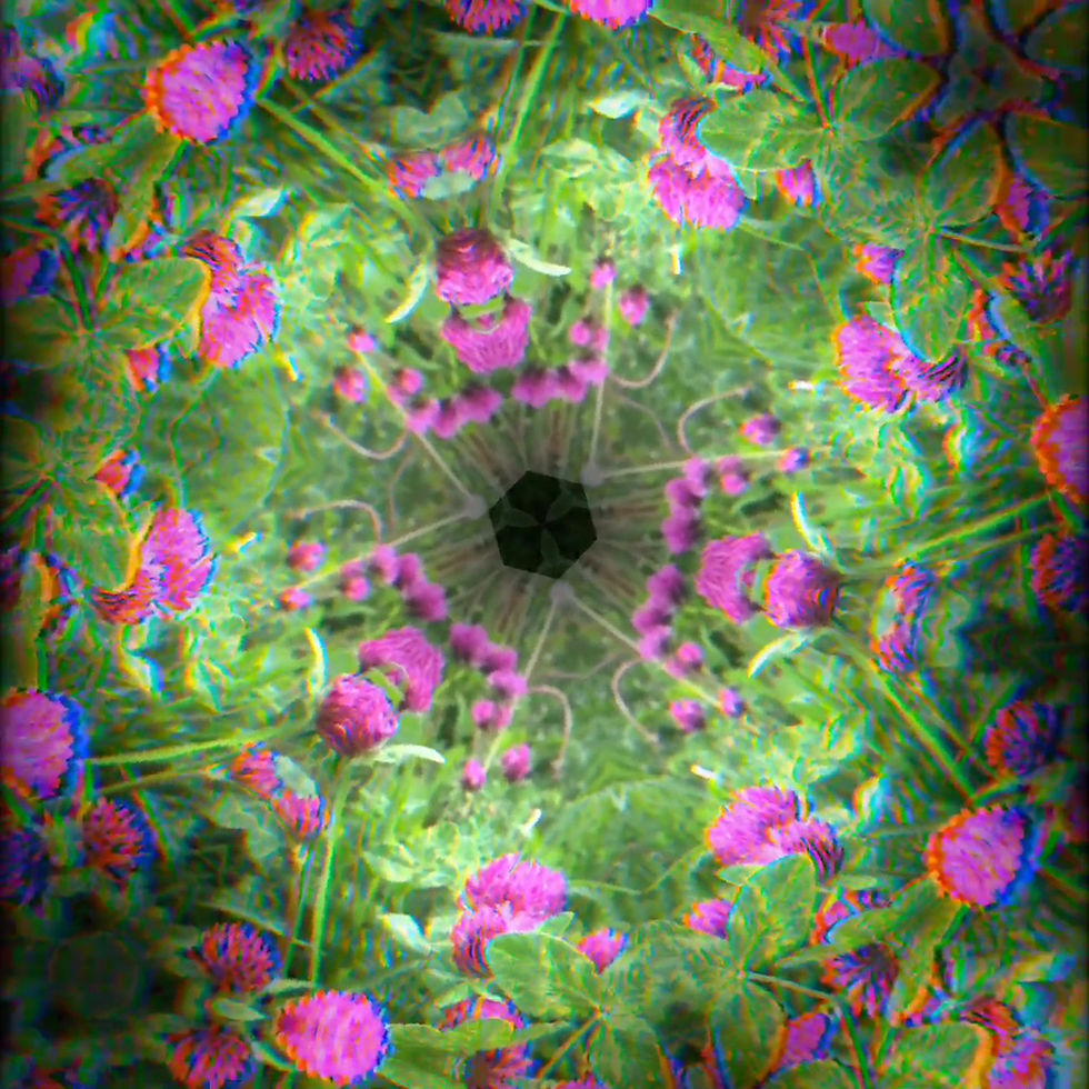 Thumbnail: Personalised Flower/Plant Sound Mandala