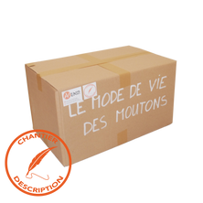 Le mode de vie des moutons