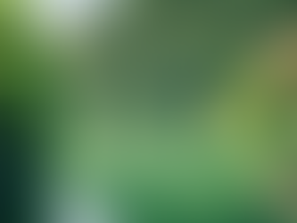 Unlock Your Potential: Book a Life-Changing Session