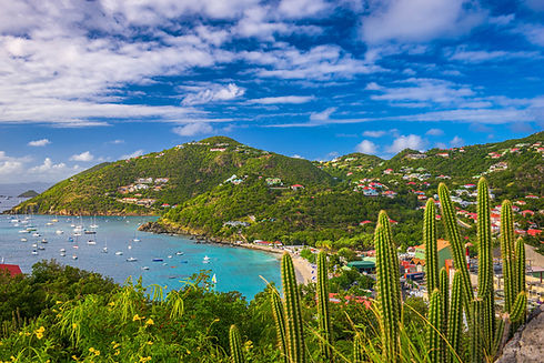 gustavia-saint-barthelemy-skyline-and-harbor-in-t-2023-11-27-05-35-09-utc (2)-2.jpg